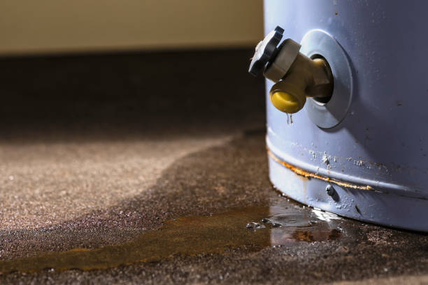 Best Water damage restoration near me  in Lansford, PA