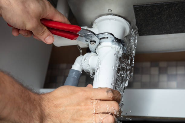 Best Mold removal after water damage  in Lansford, PA