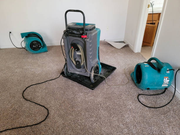 Best 24/7 water damage repair  in Lansford, PA