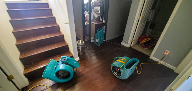 Best Commercial water damage restoration  in Lansford, PA