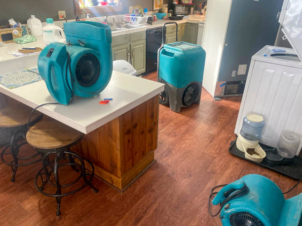 Best Water damage restoration cost  in Lansford, PA