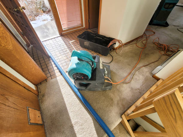 Best Professional water damage repair  in Lansford, PA
