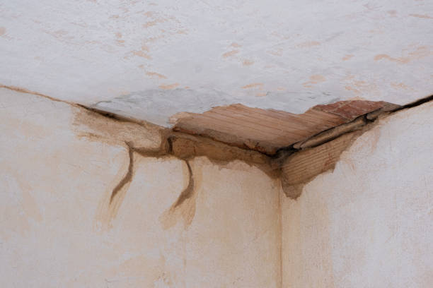 Best Carpet water damage restoration  in Lansford, PA