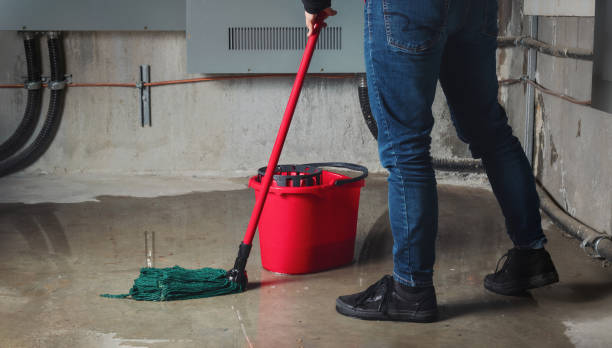 Best Ceiling water damage repair  in Lansford, PA
