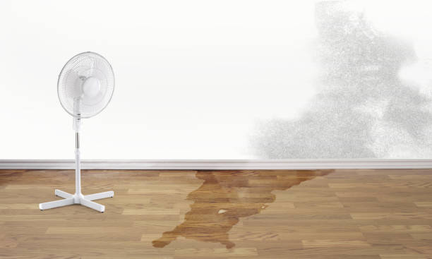 Best Local water damage restoration  in Lansford, PA