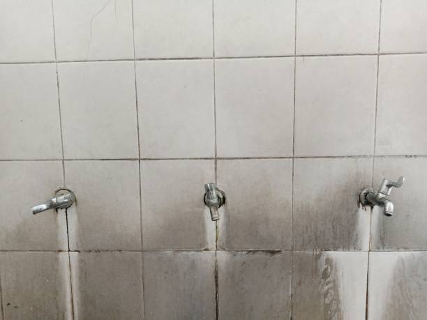 Best Local water damage restoration  in Lansford, PA