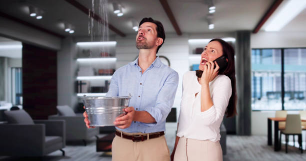 Best Water damage contractors near me  in Lansford, PA