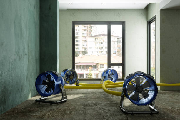 Best Sewage cleanup and water damage restoration  in Lansford, PA