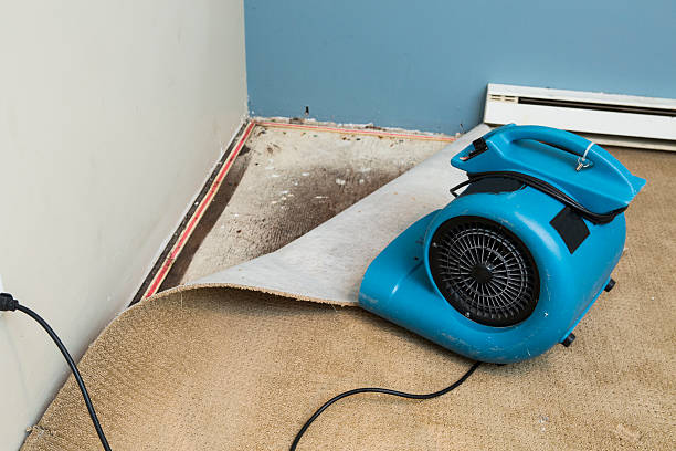 Best Water damage restoration near me  in Lansford, PA